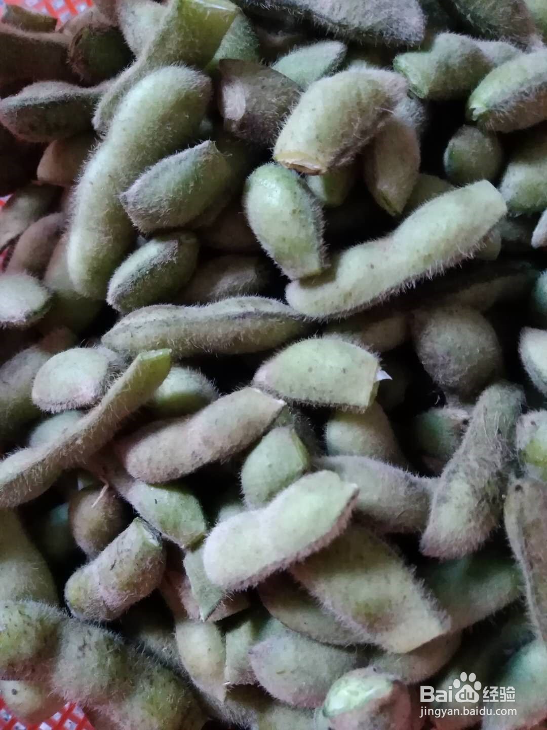 煮毛豆的做法