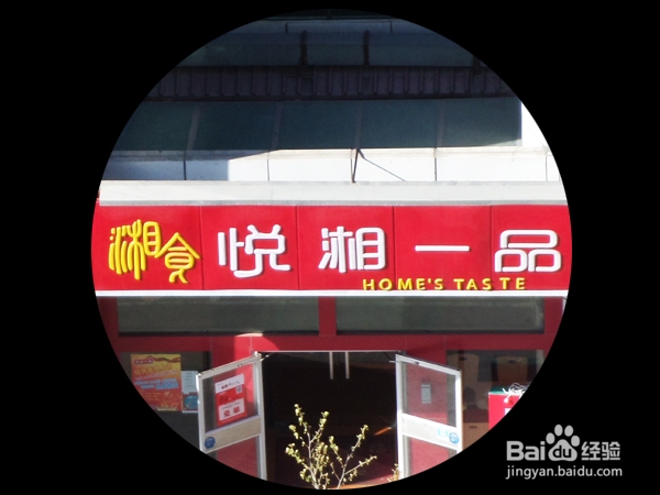 美国tasco望远镜TS1042D评测