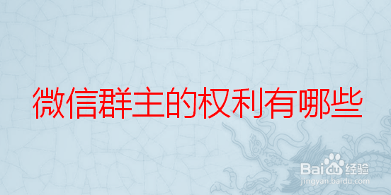 微信群主的权利有哪些