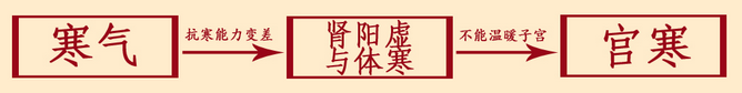 宫寒痛经解剖论