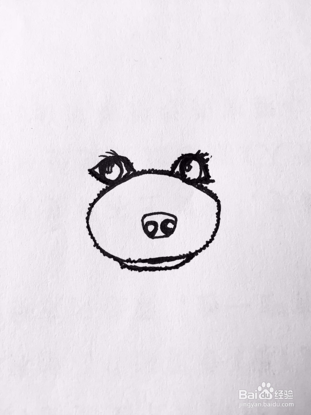 茉莉手绘之萌宠泰迪