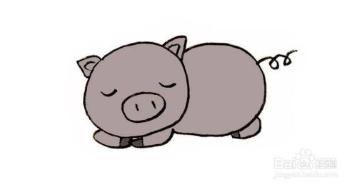 睡觉的小猪的简笔画