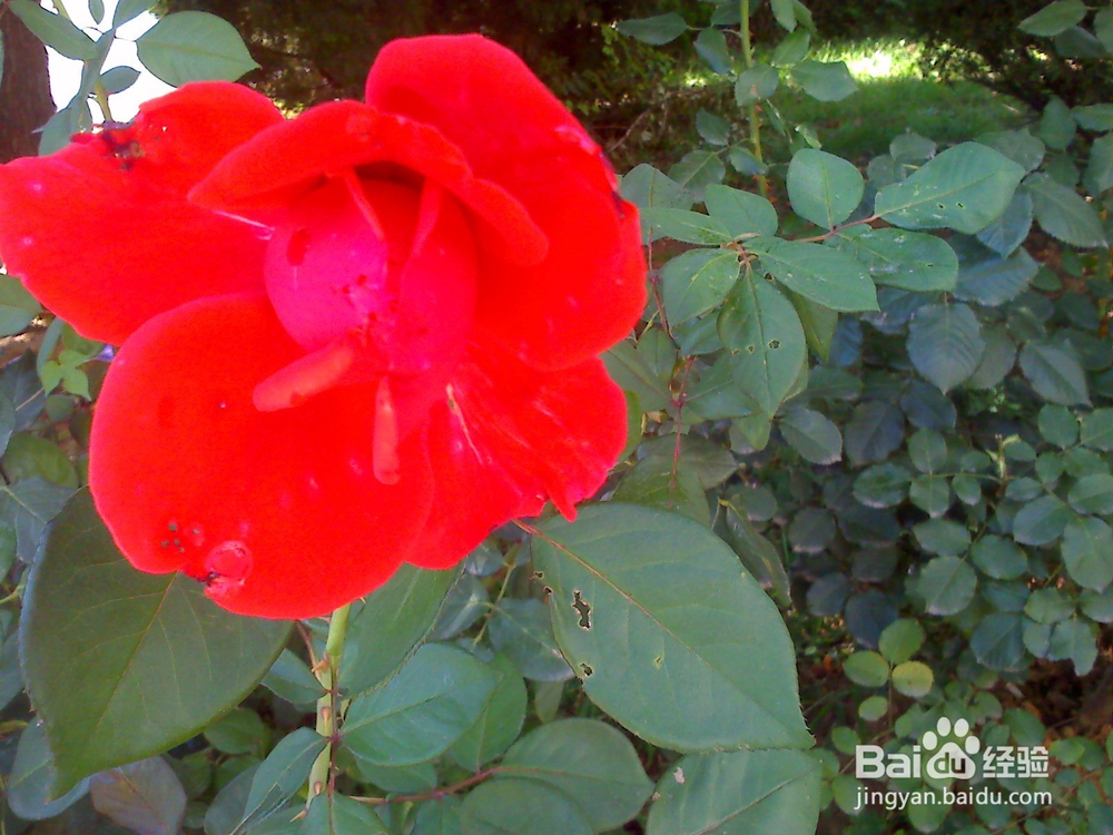 读书的好处---12