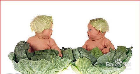 单独二孩政策与经济