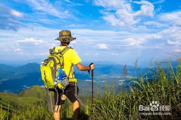 如何减内脏脂肪