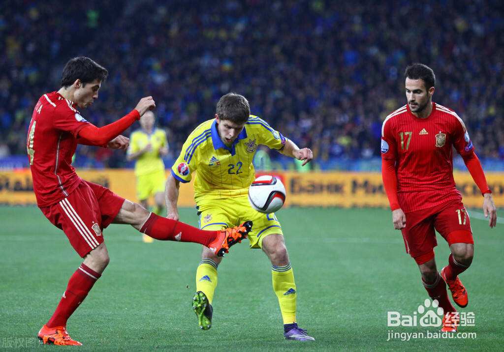 足球角球统计好用的软件