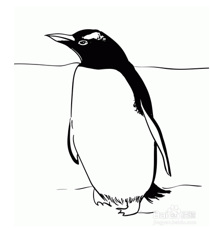 如何画一只企鹅?