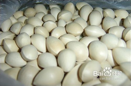 秋季煲汤食谱大全