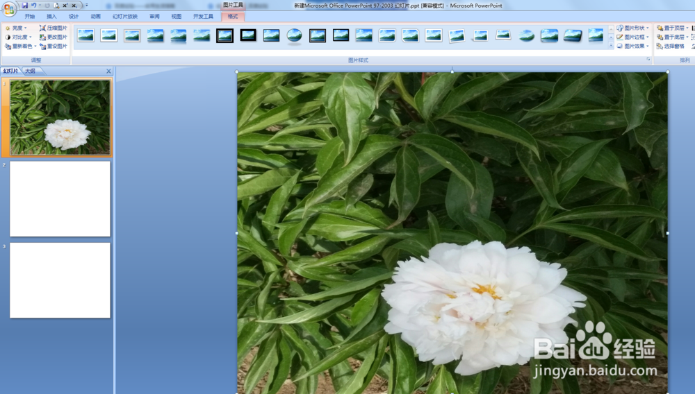 如何将电脑图片设置为PPT背景图？
