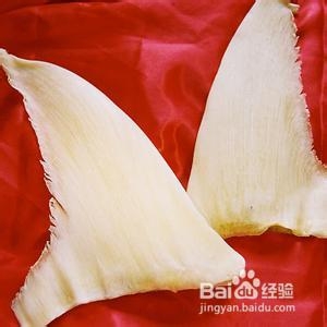 阳江旅游简介与名优特产推荐