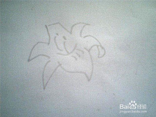 简笔画百合花怎样画