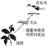 初中科学知识总复习：[22]九下 生物与环境