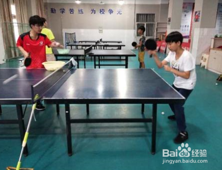 新手该怎么样学习乒乓球