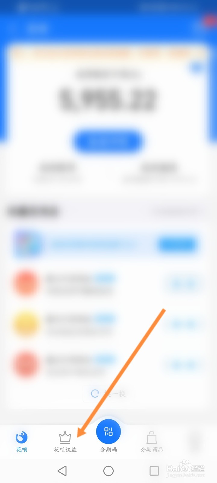 怎么查看花呗金的使用记录