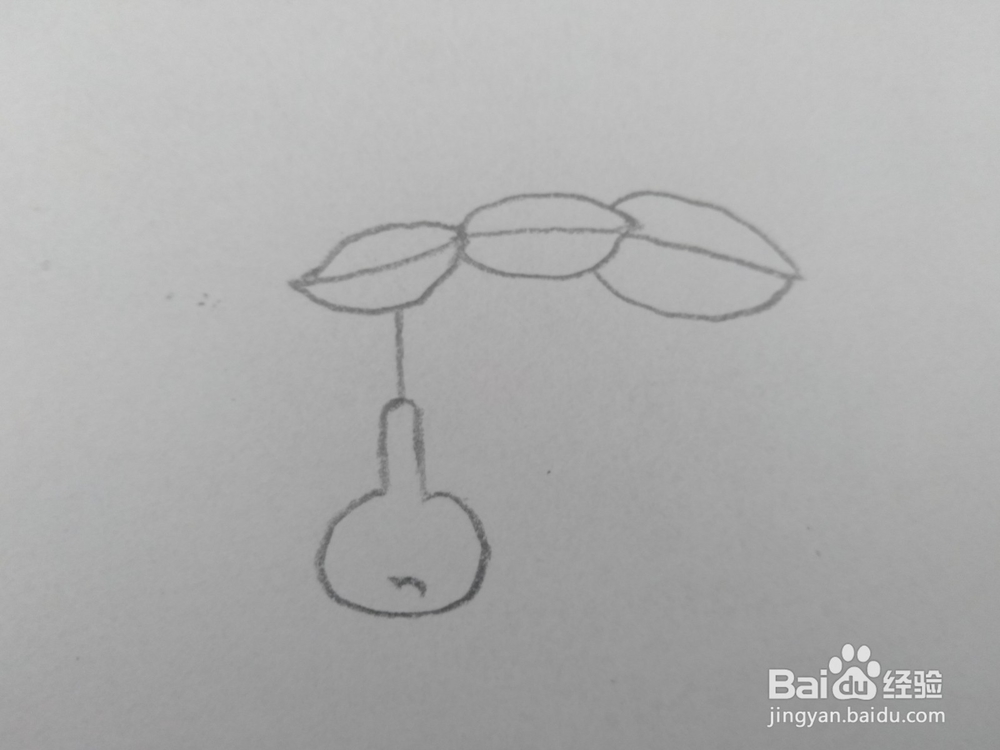 儿童简笔画葫芦画法四