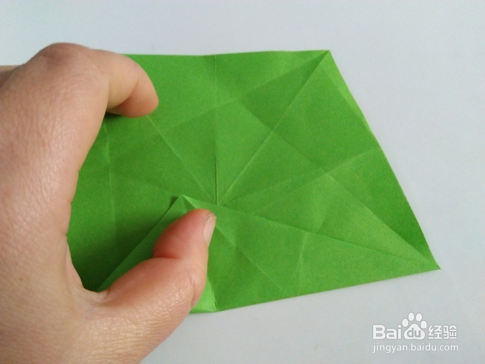 漂亮的杨桃花怎么折