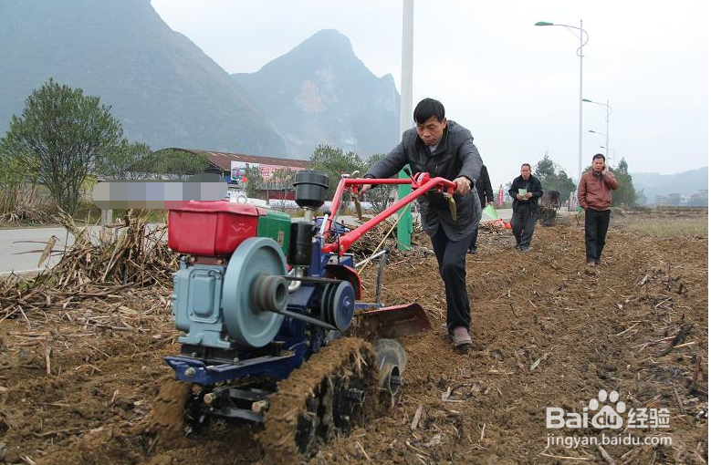 给甘蔗施肥要注意哪些事项