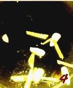 12道节后减脂小菜—缤纷炒豆芽