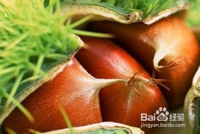 10种食物补足女性气血