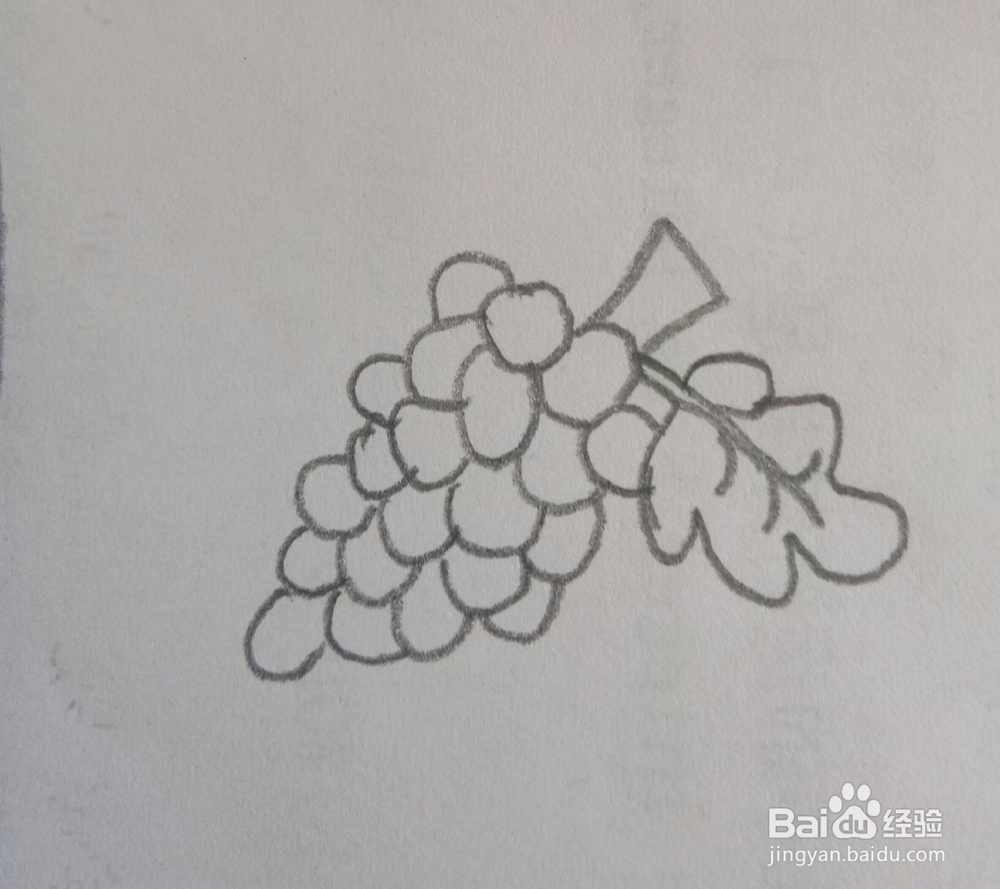 儿童简笔画葡萄的画法9