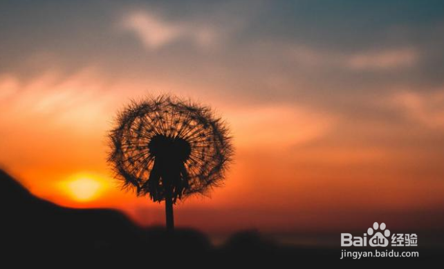 摄影时怎么能拍出来“透亮”的片子？