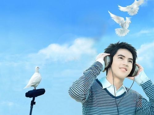 耳鸣的病因是什么