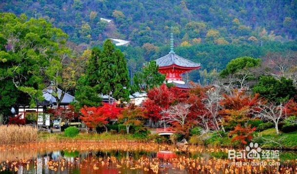 日本岚山一日游攻略?