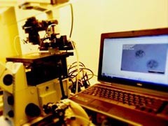 试管婴儿成功经验分享