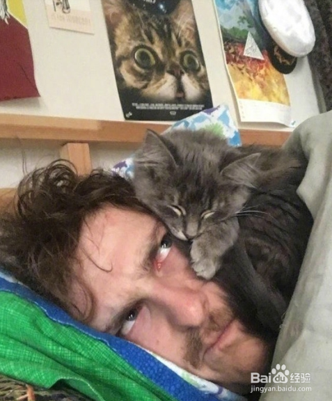 年轻人不要轻易吸猫喔，一日吸猫，终生被奴役！