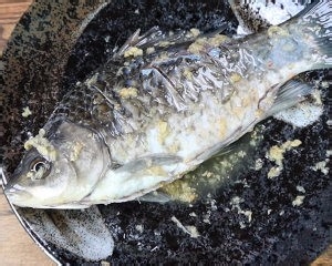 怎么自制豆腐鲫鱼汤