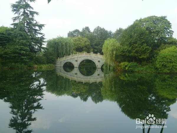 西湖美景有哪些