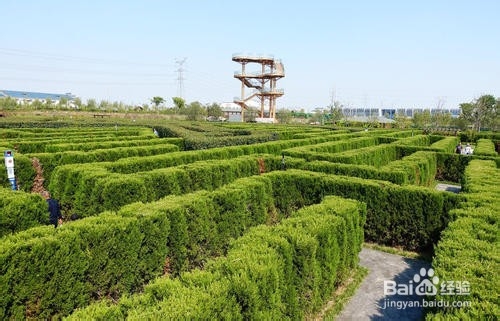 大丰梦幻迷宫攻略