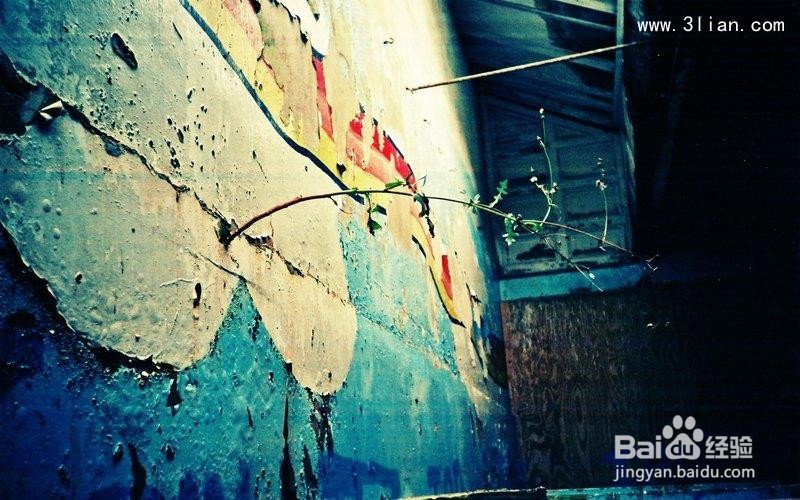 get到了！5种不同场景下的手机拍照技巧