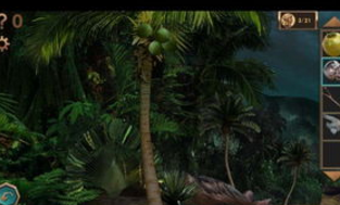 无人岛脱出攻略