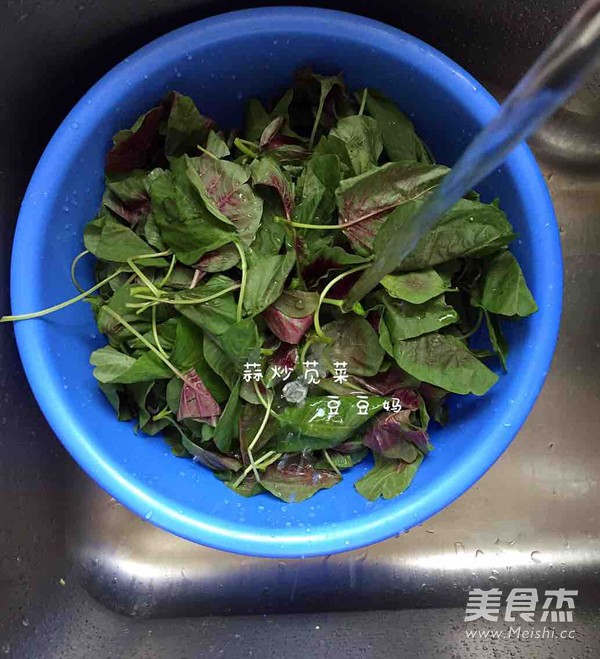 蒜炒苋菜的做法