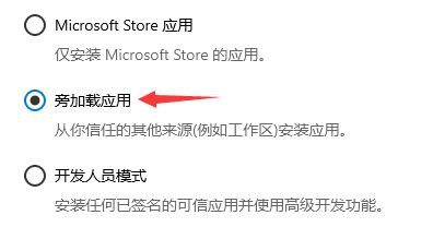 win11开发者模式怎么关掉