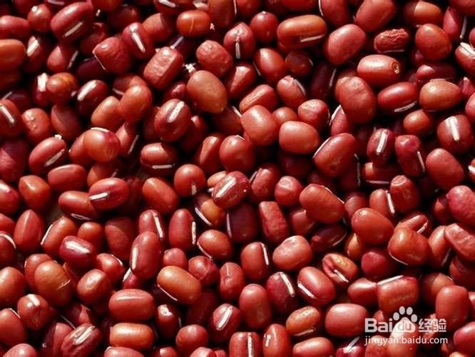 瘦腿美腿食物大盘点