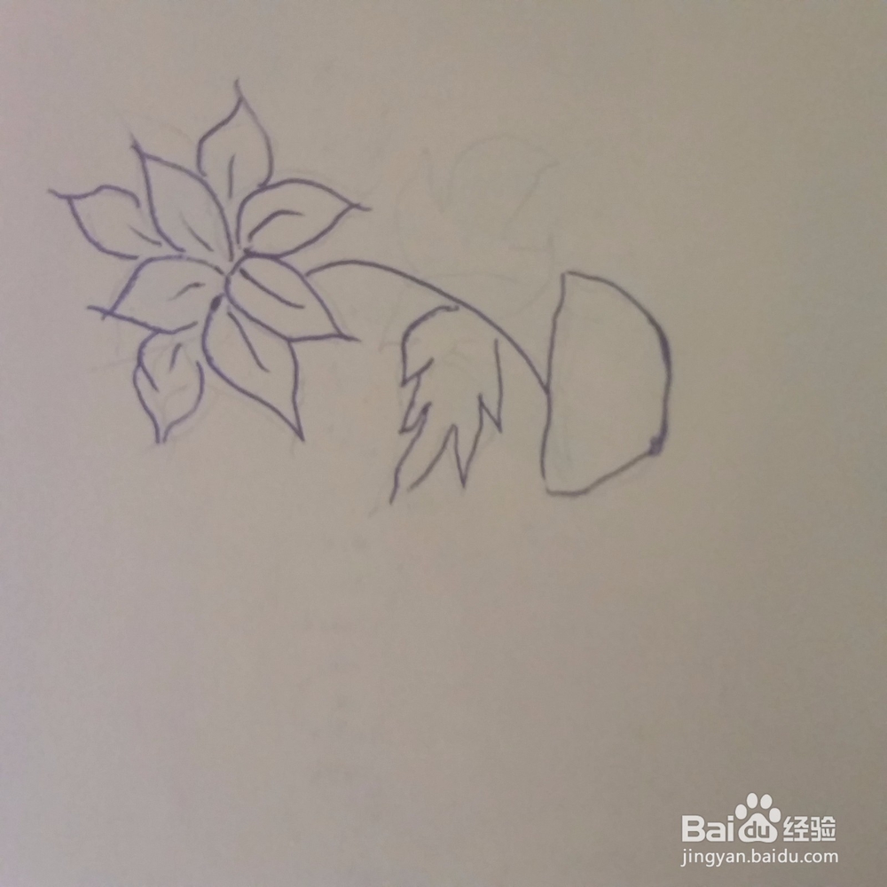 仙客来小盆栽简笔画