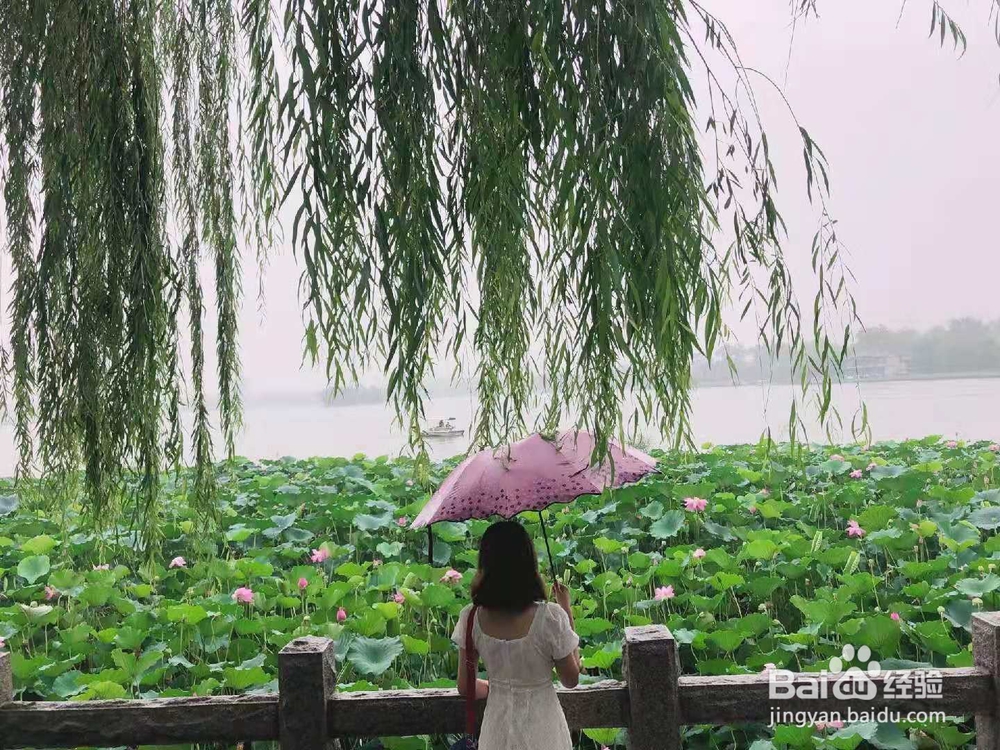 三天两晚济南游