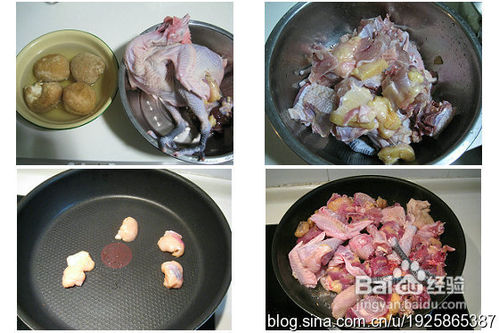 女人进补的专利菜品——猴头菇煲鸡汤