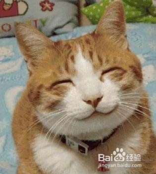 怎么样长高健康的方法
