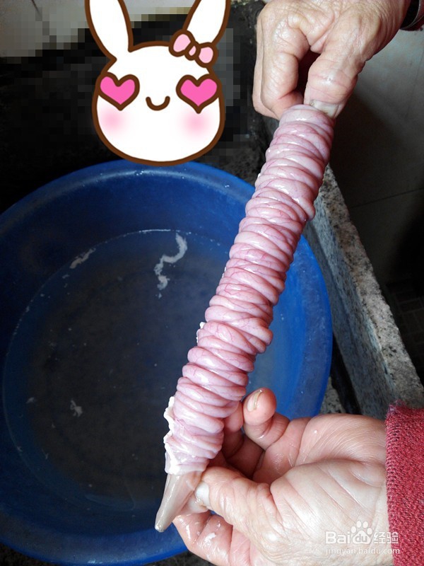 如何清洗猪小肠