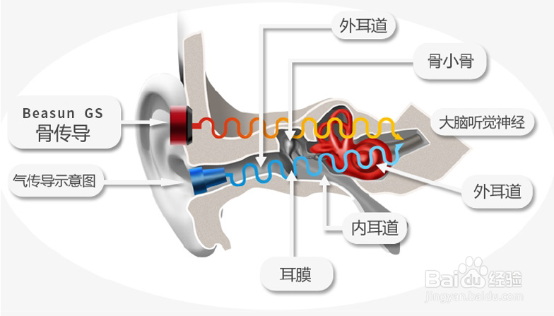 如何辨别真假骨传导耳机