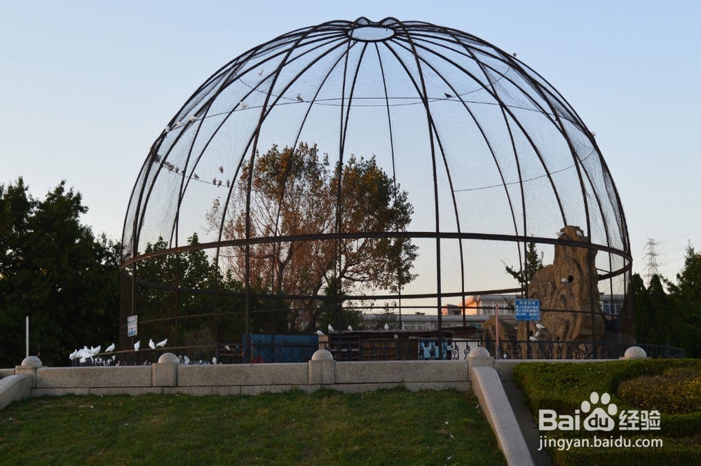 大连一日游攻略