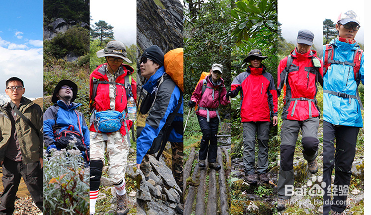 南极旅游攻略与线路分享