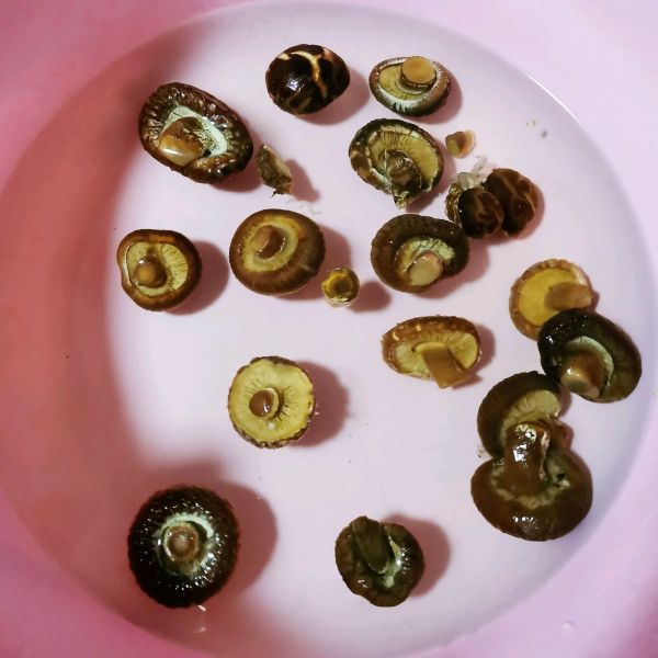 香菇墨鱼土鸡汤