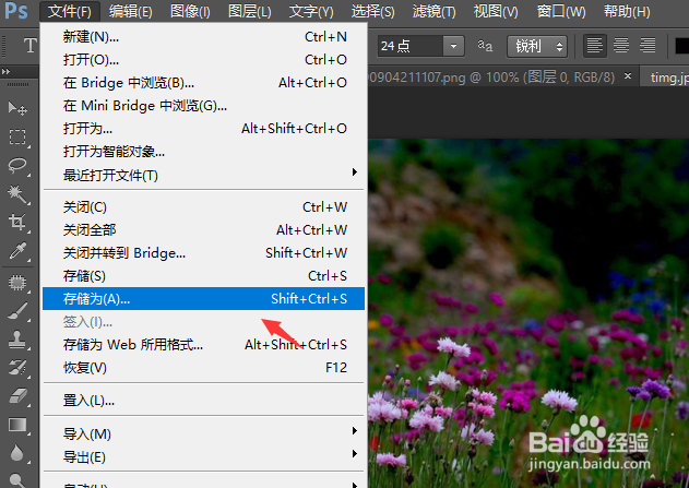 如何将自己喜爱的照片制作成桌面壁纸？