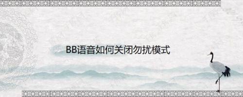 BB语音如何关闭勿扰模式