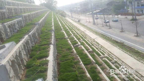 河道生态护坡框河堤边坡选中力通新材