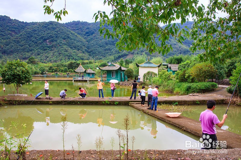 如何在水库钓鱼选窝